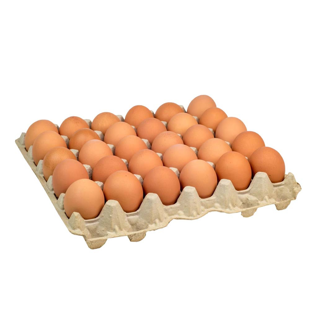 egg 30pcs