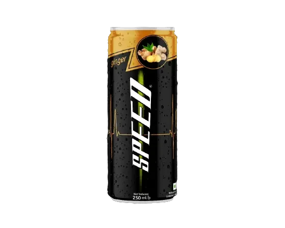 Speed Ginger Can 250ml