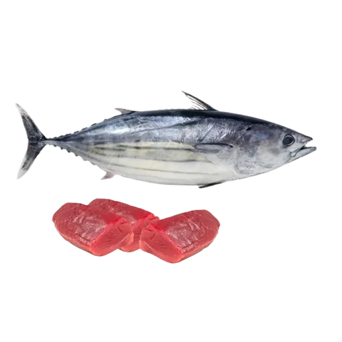 Fresh Sea Fish Tuna (1.193kg)