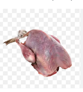 Quail Meat (1PC)